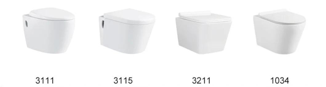 Round Shape S Trap 250mm Washdown One Piece Toilet Bowl Floor Mounted Bathroom Sanitary Toilet